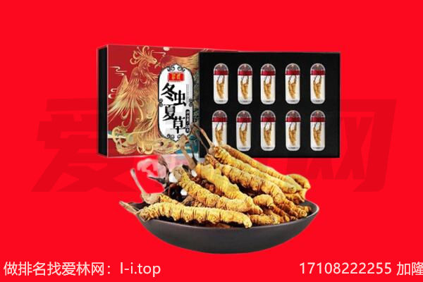 台中市回收虫草.jpg